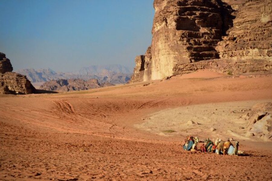 Petra and Wadi Rum